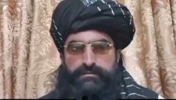 نور ولی محسود