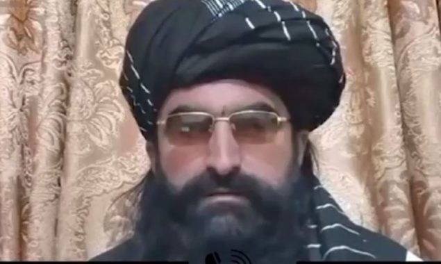 نور ولی محسود