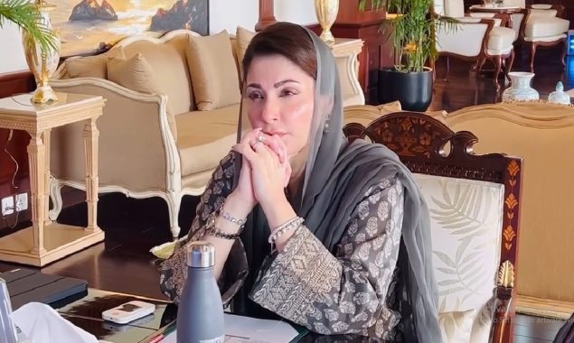 وزیراعلیٰ پنجاب