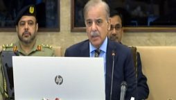 وزیراعظم شہبازشریف