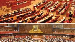 سینیٹ و قومی اسمبلی