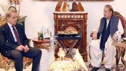 وزیراعظم شہبازشریف