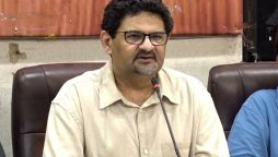 رہنما عوام پاکستان پارٹی