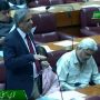 وفاقی وزیرقانون