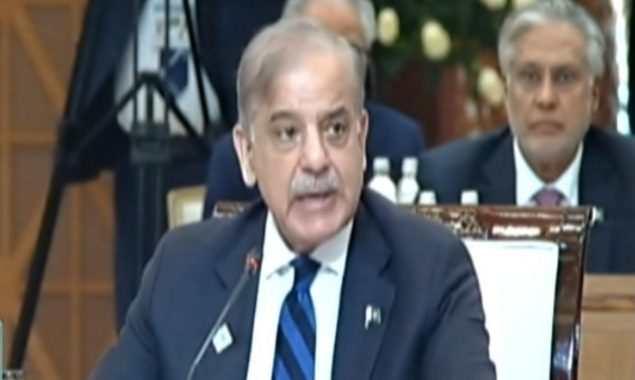 ایس سی او پلس سمٹ آستانہ