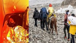 ثمینہ بیگ، آمنہ شگری