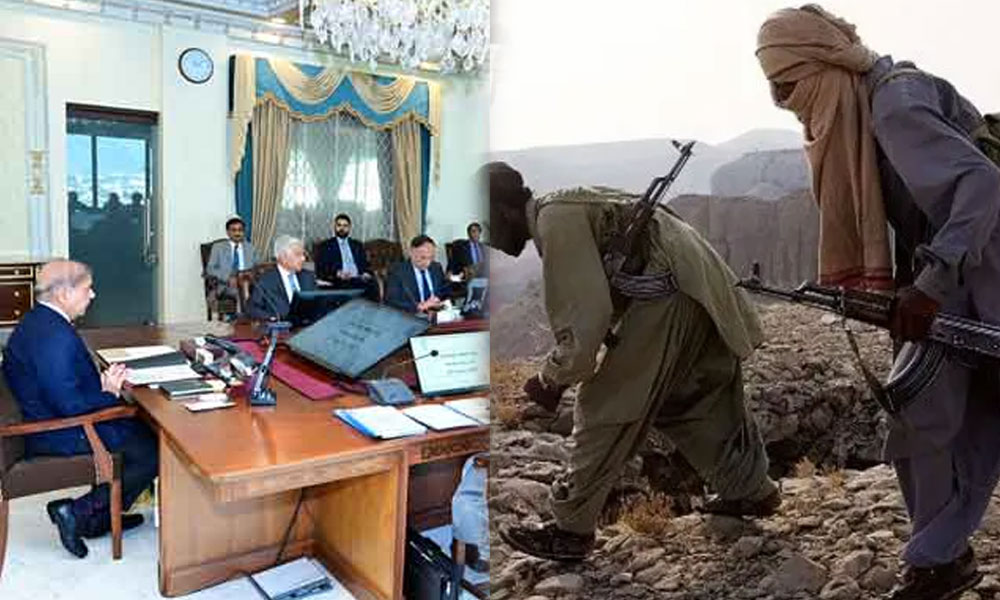 وفاقی کابینہ کا حالیہ دہشت گردی پر تشویش کا اظہار، عزم استحکام کے لیے 20 ارب کی منظوری