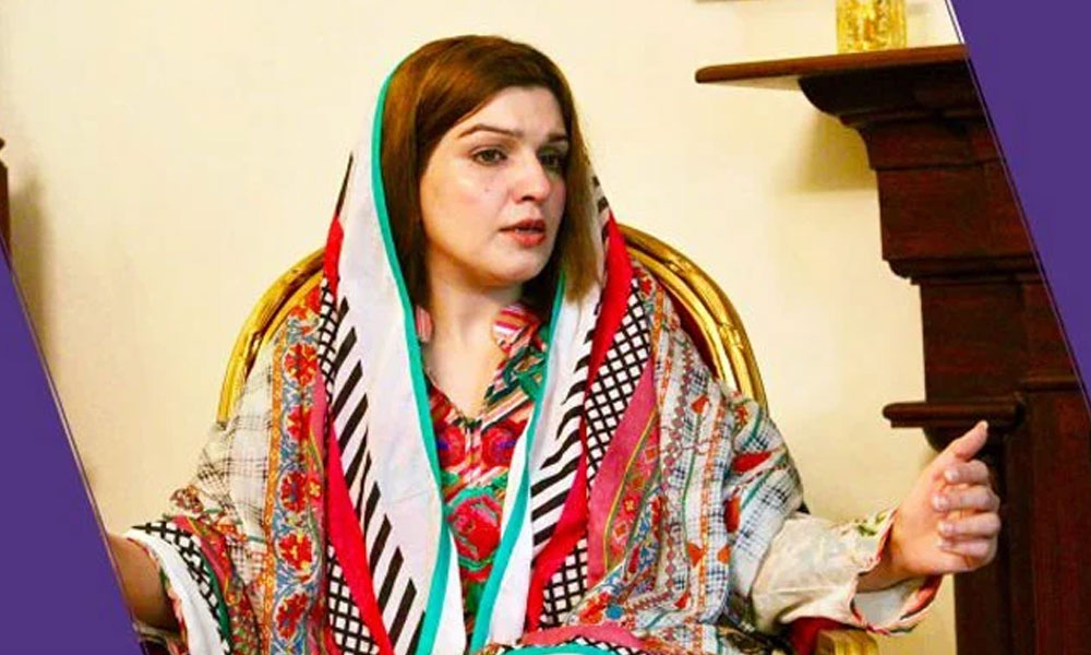 آج دنیا میں دو ہی مسئلے ہیں، ایک فلسطین اور دوسرا کشمیر، مشال ملک