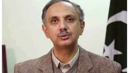 عمر ایوب