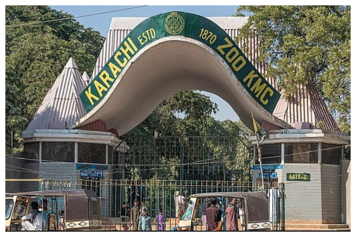 کراچی چڑیا گھر میں ننھے مہمانوں کی آمد