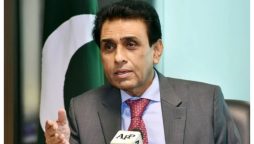 تعلیم ہی جبر اور ظلم کے خلاف چلنے کی ہمت دیتی ہے، وفاقی وزیر تعلیم