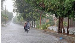 پاکستان اسٹاک ایکسچینج میں نیا ریکارڈ بن گیا ہنڈریڈ انڈیکس پہلی بار 1 لاکھ 49 ہزار کی سطح عبور کرگیا 1 ہزار سے زائد پوائنٹس کا اصافہ ہنڈریڈ انڈیکس پہلی بار 1 لاکھ 49 ہزار 367 پوائنٹس کی تاریخی سطح پر ٹریڈ ہورہا ہے