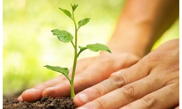 پلانٹ فار پاکستان، یوم آزادی کی مناسبت سے شجرکاری مہم کا آغاز