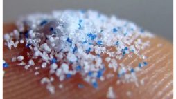 پہلی بار انسانی دماغ میں مائیکرو پلاسٹک کی موجودگی کا انکشاف