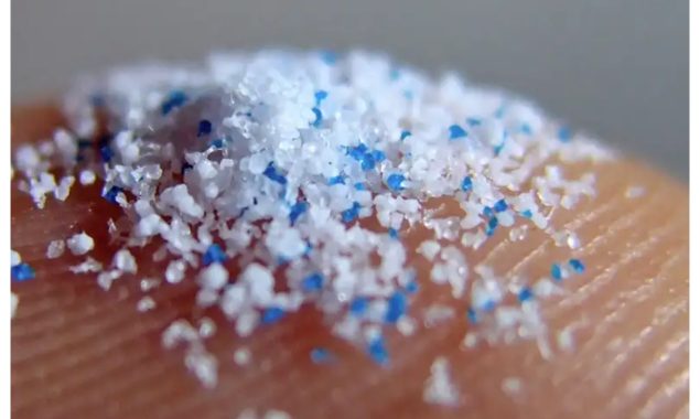 پہلی بار انسانی دماغ میں مائیکرو پلاسٹک کی موجودگی کا انکشاف