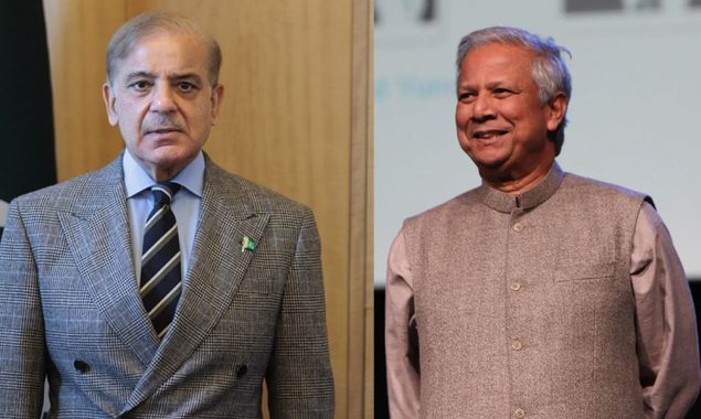 وزیر اعظم