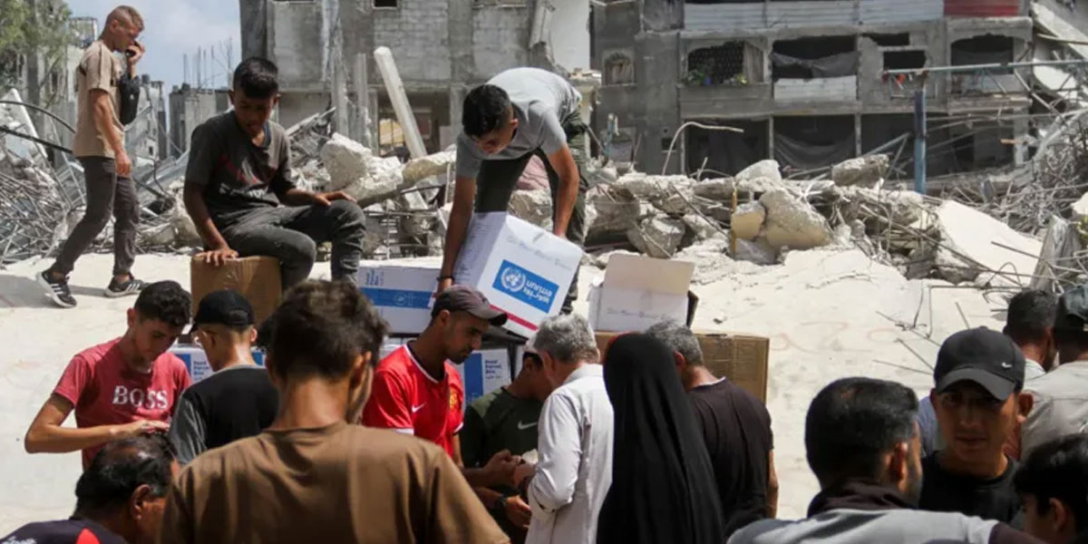 ڈبلیو ایف پی