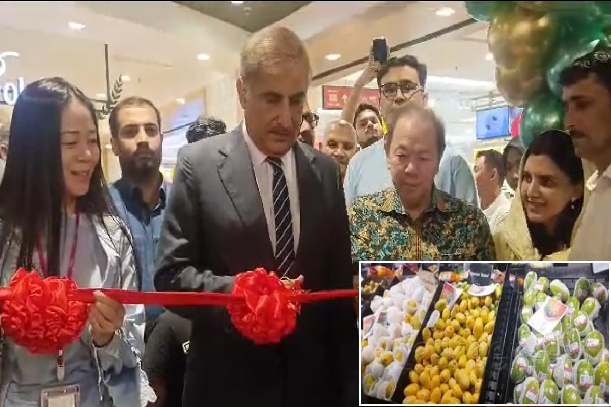 مینگو اینڈ فروٹ فیسٹیول