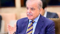 صدر رجب طیب اردوان کی قیادت میں ترکیہ نے مثالی ترقی کی ہے، وزیراعظم
