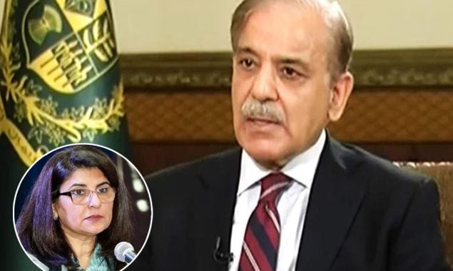 آمنہ بلوچ
