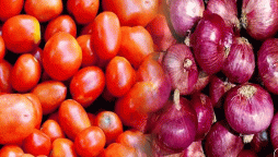 ٹماٹر اور پیاز کی مقامی پیداوار میں اضافہ کے لئے پلان تیار