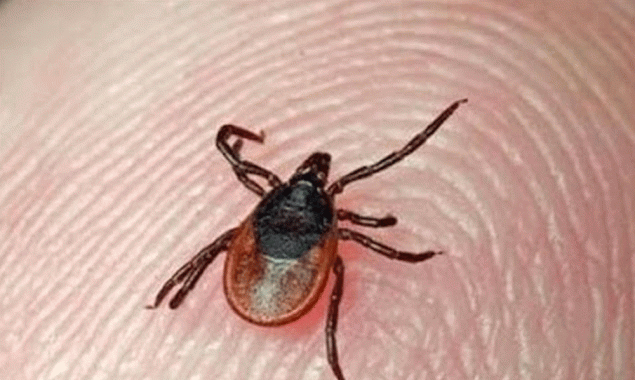 کراچی میں کانگو کریمین ہیمرجک فیور کے کیسز میں اضافہ