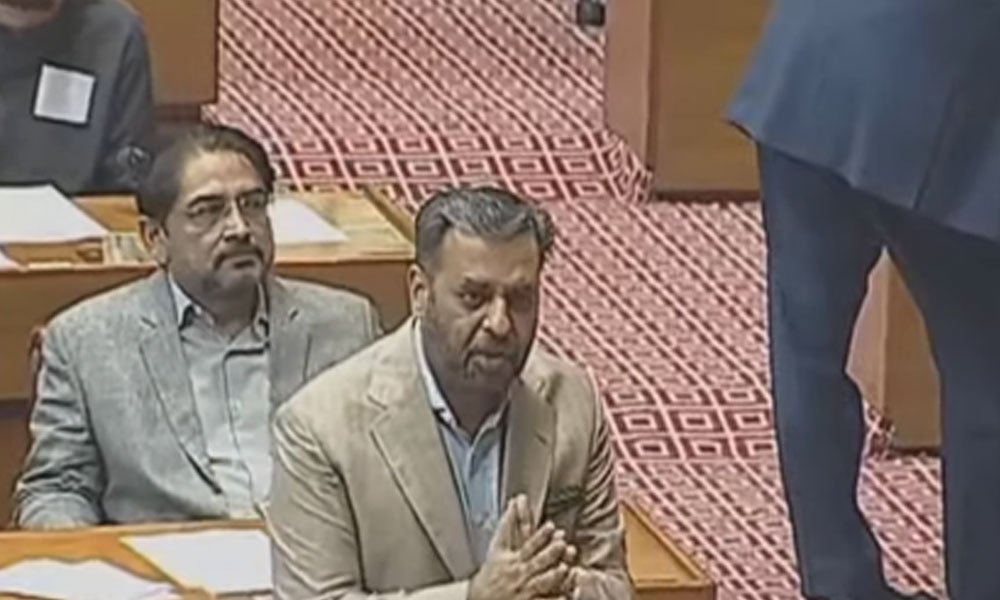 تھوڑا صبر کرلیں بانی پی ٹی آئی باہر آجائیں گے، مصطفیٰ کمال کا پی ٹی آئی کو مشورہ