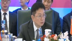 نائب وزیر تجارت