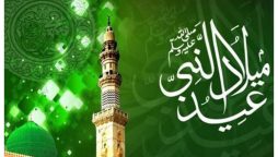 عید میلاد النبی ﷺ کے حوالے سے پارلیمنٹ میں خطاطی نمائش اور سیرت محل بک کارنر کا افتتاح