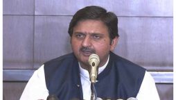 چھبیسویں آئینی ترمیم آئین کو درست سمت میں ڈالنے کا پہلا قدم ہے، ملک احمد خان