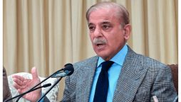 بجلی سے چلنے والی گاڑیوں کے لیے حکومت ترجیحی اقدامات اٹھا رہی ہے، وزیراعظم