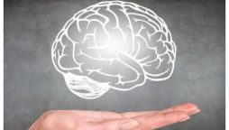 دماغ میں نئے خلیات کی افزائش میں مددگار 4 آسان طریقے