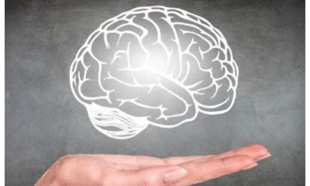 دماغ میں نئے خلیات کی افزائش میں مددگار 4 آسان طریقے