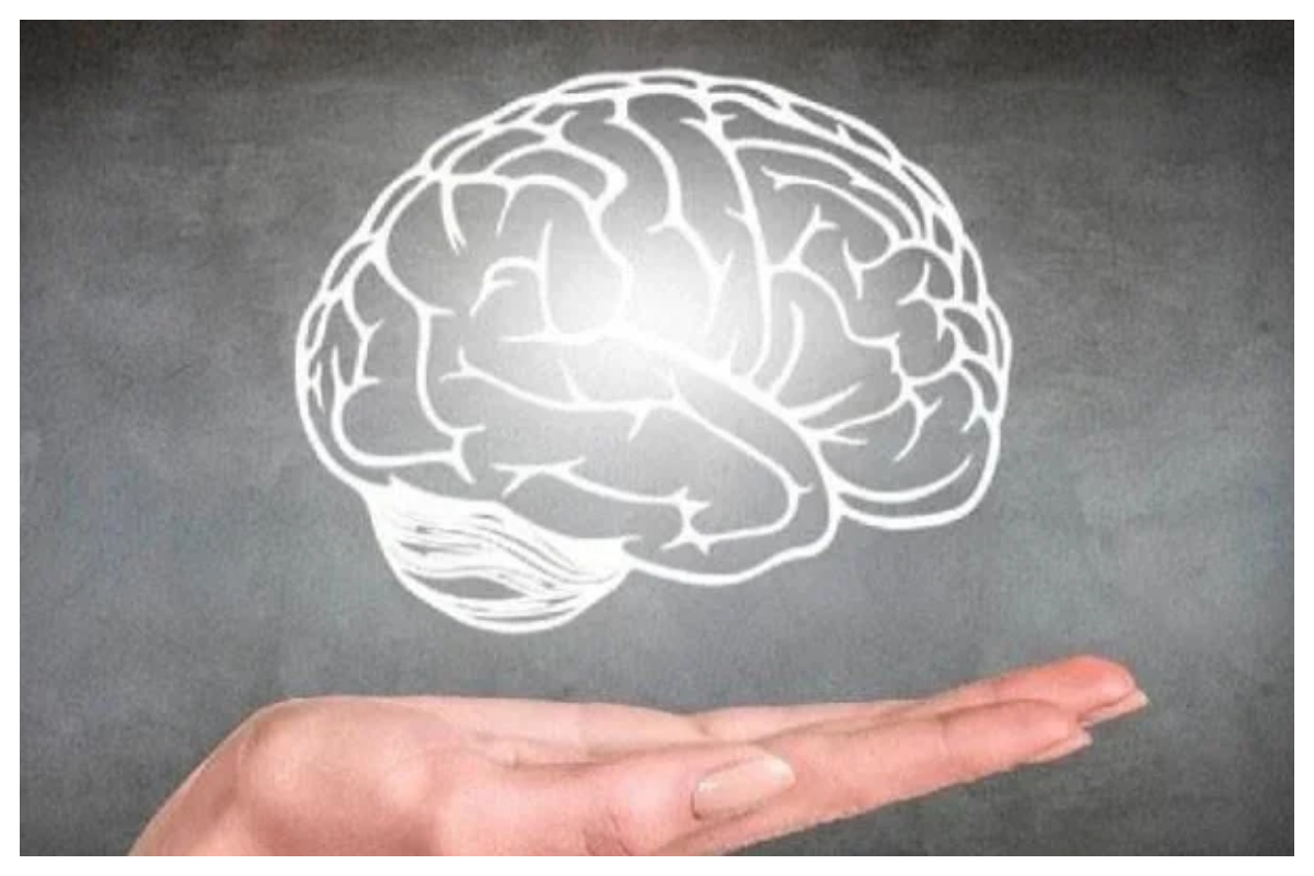 دماغ میں نئے خلیات کی افزائش میں مددگار 4 آسان طریقے