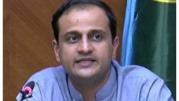 میٹ، بیف اور چکن شاپس کو لائسنس جاری کئے جائیں، مرتضیٰ وہاب