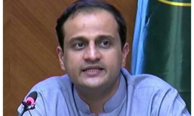 میٹ، بیف اور چکن شاپس کو لائسنس جاری کئے جائیں، مرتضیٰ وہاب