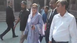 عظمیٰ بخاری