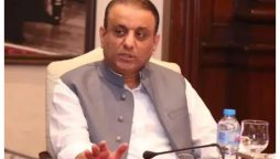 چین سے پاکستان میں صنعتوں کی منتقلی کا خیر مقدم کررہے ہیں، عبدالعلیم خان