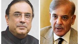 صدر آصف علی زرداری