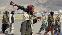 دہشتگردی