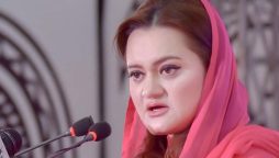 جب تک دونوں ممالک کام نہیں کریں گے اسموگ رہے گی، مریم اورنگزیب
