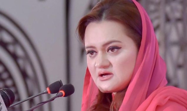 جب تک دونوں ممالک کام نہیں کریں گے اسموگ رہے گی، مریم اورنگزیب