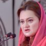 جب تک دونوں ممالک کام نہیں کریں گے اسموگ رہے گی، مریم اورنگزیب