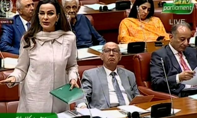 سینیٹر شیری رحمان