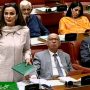 سینیٹر شیری رحمان