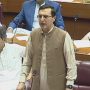 بیرسٹر گوہر