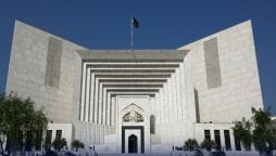 آرٹیکل 63 اے کی نظر ثانی کیس