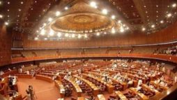 آئینی ترمیم کے لیے حکومت نمبر گیم پوری کرپائے گی یا نہیں؟