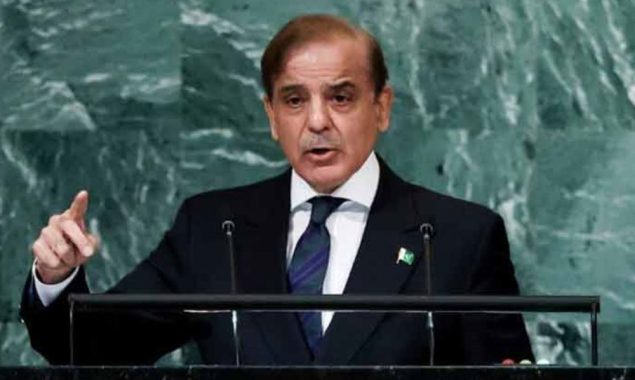 پاکستان نے اقوام متحدہ کی جنرل اسمبلی میں مقبوضہ کشمیر اور فلسطین کا مقدمہ پیش کردیا