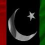 عدلیہ سے متعلق اہم قانون سازی متوقع؛ پیپلزپارٹی کی تمام اراکین کو اسلام آباد پہنچنے کی ہدایت